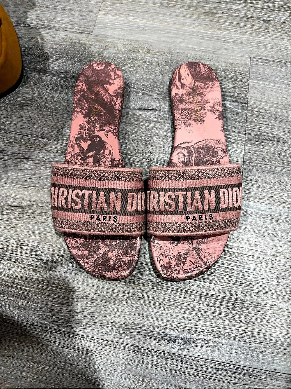 Dior Dway Slide Pink Slide Sandals